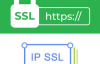 SSL证书和IP证书区别是什么