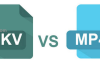 mkv文件是什么，MKV和MP4哪个好